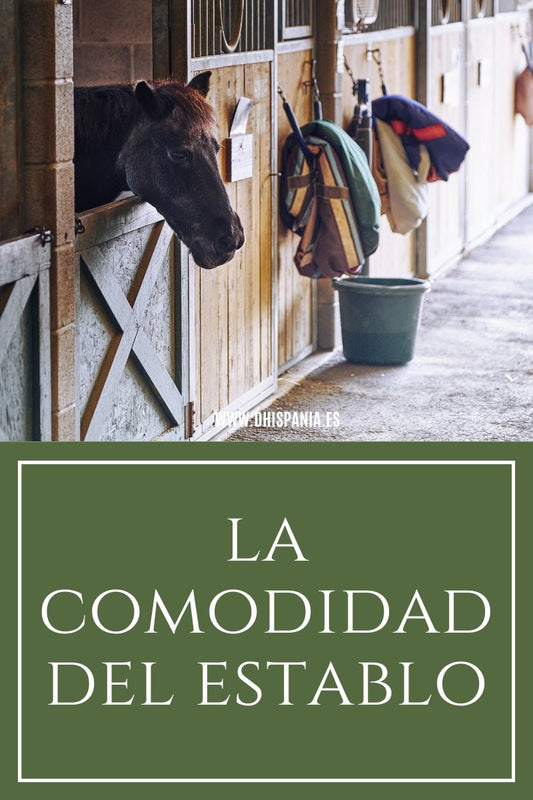 Establo para caballos - Cómo mejorar la comodidad y el bienestar equino D'Hispania