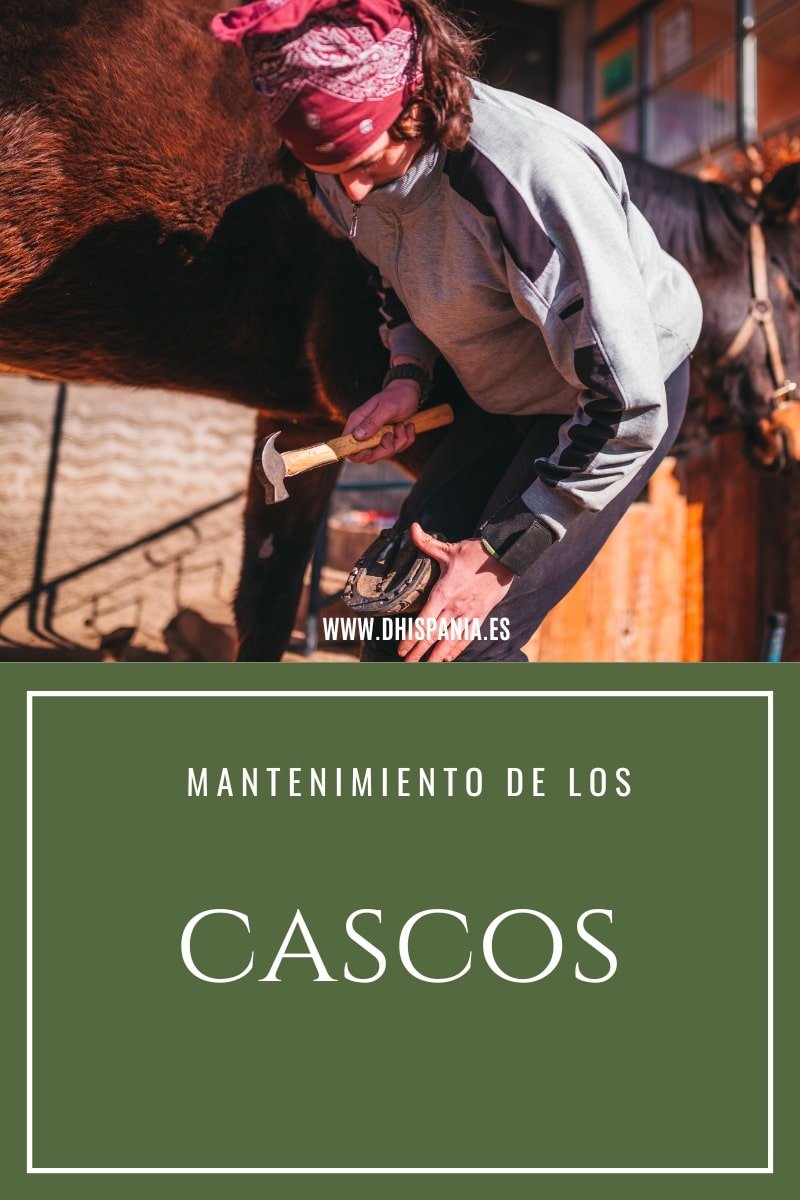 Mantenimiento cascos del caballo - Guía completa de cuidados D'Hispania