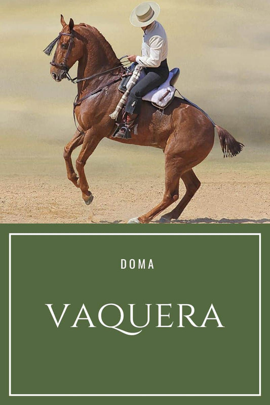 El origen de la Doma Vaquera - Tienda Hípica Online | D’Hispania ®