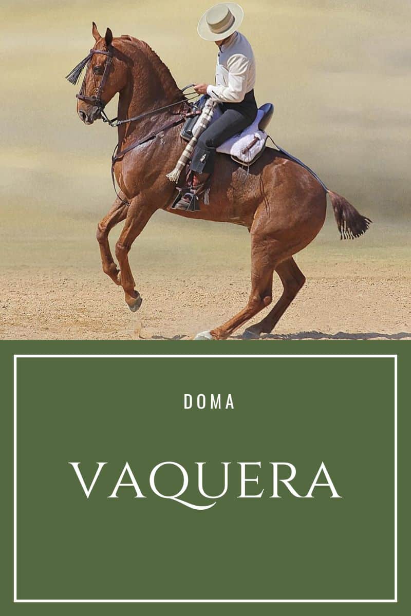 El origen de la Doma Vaquera - Tienda Hípica Online | D’Hispania ®
