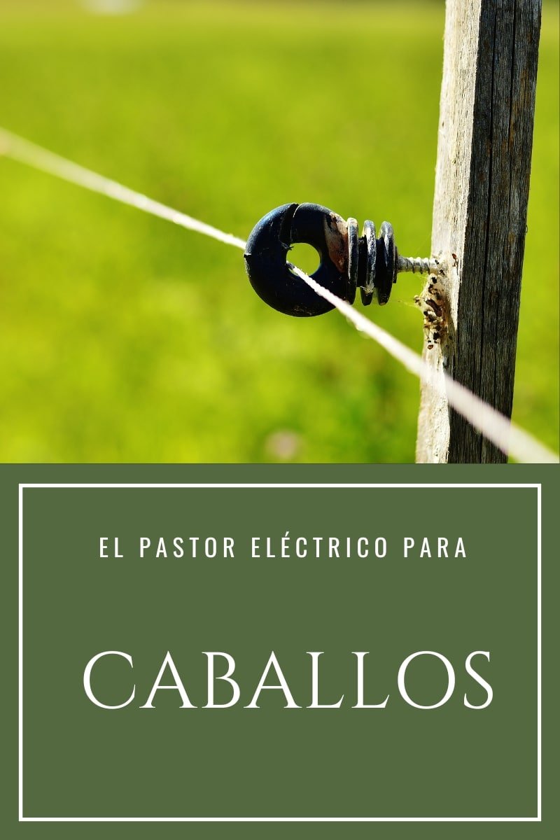 Pastor eléctrico para caballos - Guía de uso seguro e instalación D'Hispania