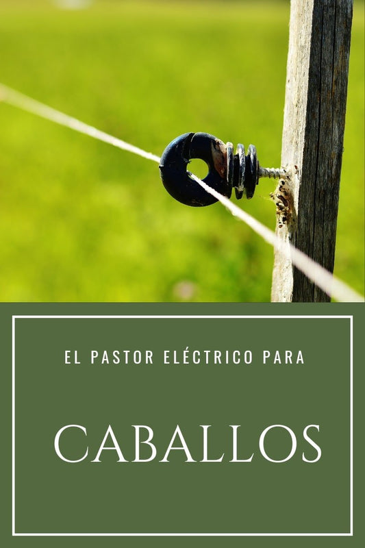 Pastor eléctrico para caballos - Guía de uso seguro e instalación D'Hispania