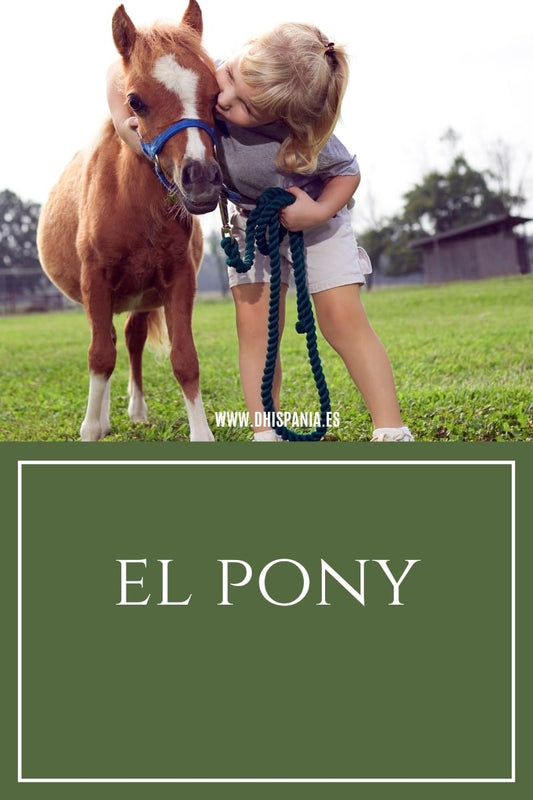 El poni - El mejor compañero ecuestre para los niños D'Hispania