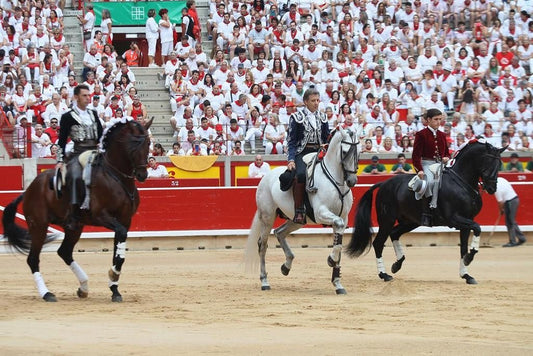 El Rejoneo en España - Arte ecuestre, tradición y maestría D'Hispania