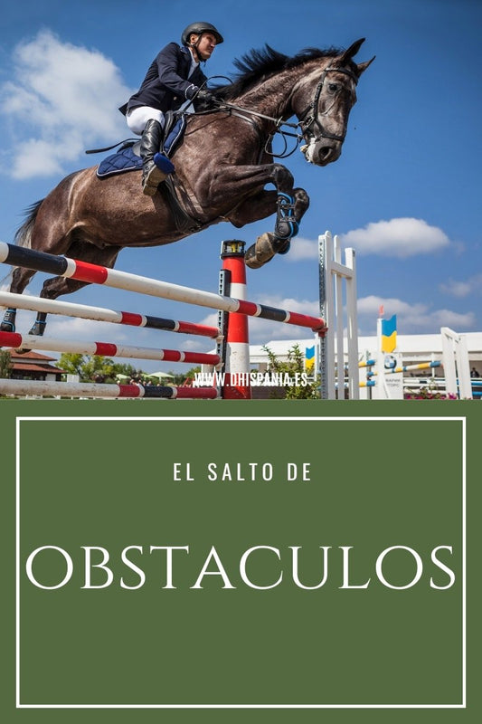 El salto de Obstaculos - Tienda Hípica Online | D’Hispania ®