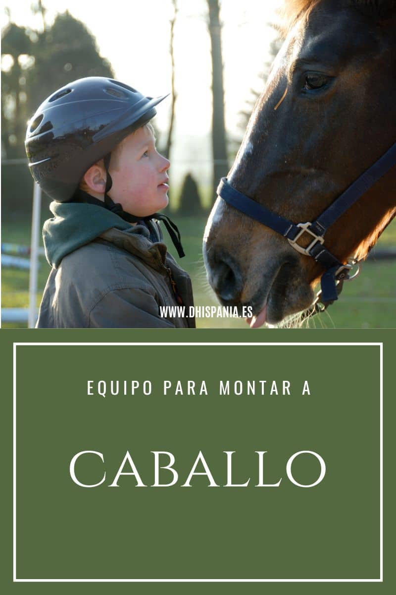 Equipamiento necesario para montar a caballo - Guía completa D'Hispania