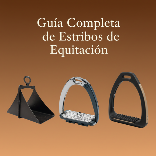 Guía Completa de Estribos de Equitación: Seguridad, Tipos y Cómo Elegir