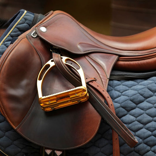 Guía Completa para Elegir la Silla de Montar Perfecta en 2024 - Tienda Hípica Online | D’Hispania ®