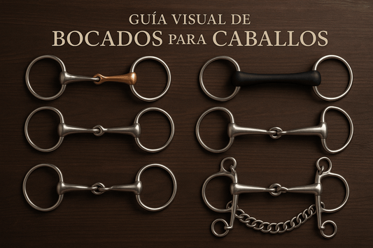 Guía Visual de Bocados para Caballos: Elige el Perfecto para tu Caballo - Tienda Hípica Online | D’Hispania ®