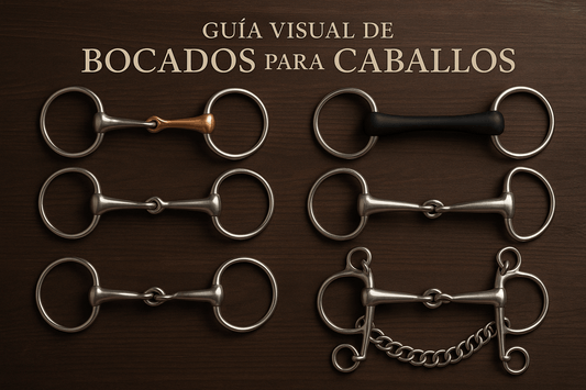Guía Visual de Bocados para Caballos: Elige el Perfecto para tu Caballo - Tienda Hípica Online | D’Hispania ®