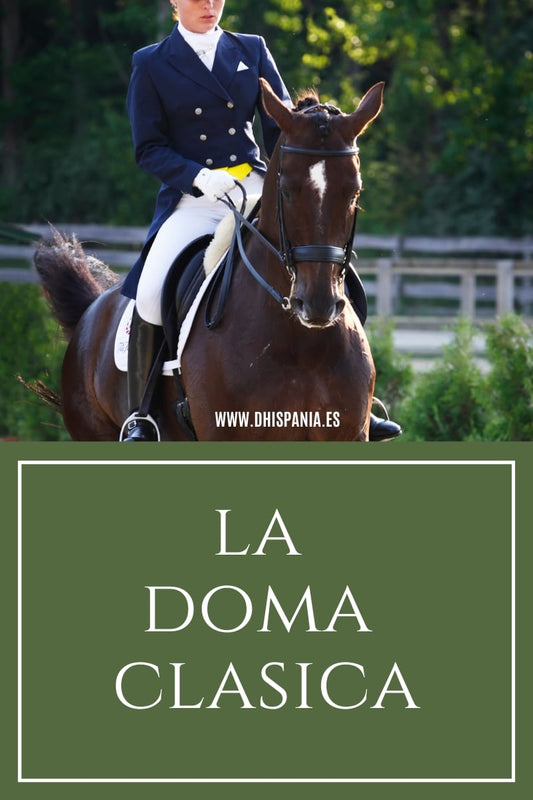 Doma Clásica - Disciplina olímpica ecuestre, vestimenta y equipo reglamentario D'Hispania