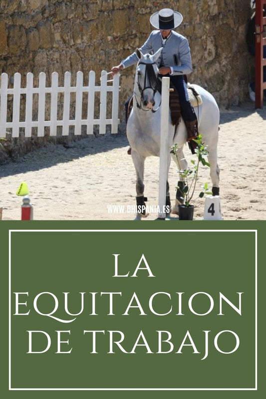 Equitación de Trabajo - Doma vaquera, manejabilidad y apartado de ganado D'Hispania
