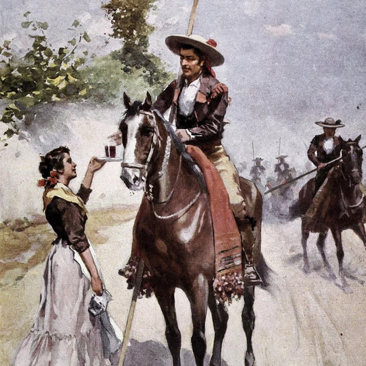 La Garrocha: Historia, Técnica y Arte del Acoso y Derribo - Tienda Hípica Online | D’Hispania ®