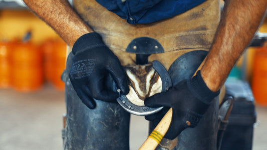 La Importancia del Herrador: Cuidado Profesional de los Cascos del Caballo - Tienda Hípica Online | D’Hispania ®
