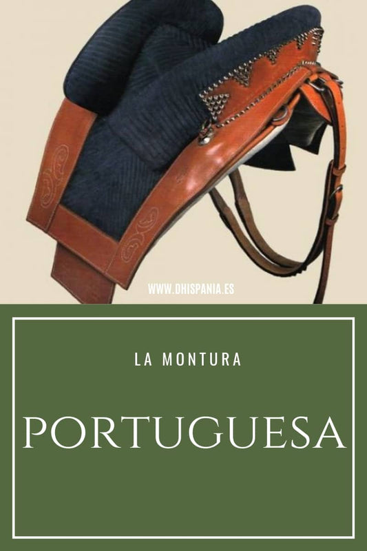 Montura portuguesa tradicional - Historia y características D'Hispania