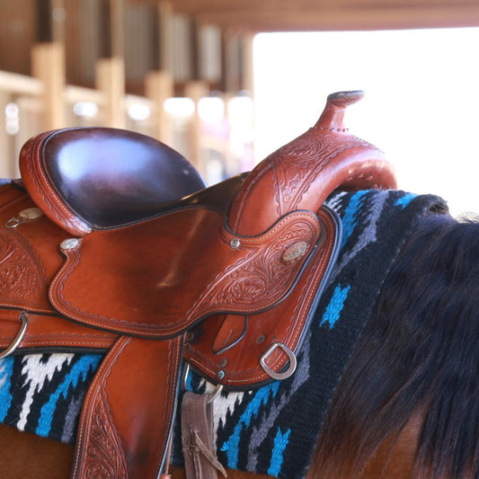 LA SILLA WESTERN Y EL JINETE DE WESTERN  Tradición, Técnica y Equipamiento Profesional 2025 - Tienda Hípica Online | D’Hispania ®