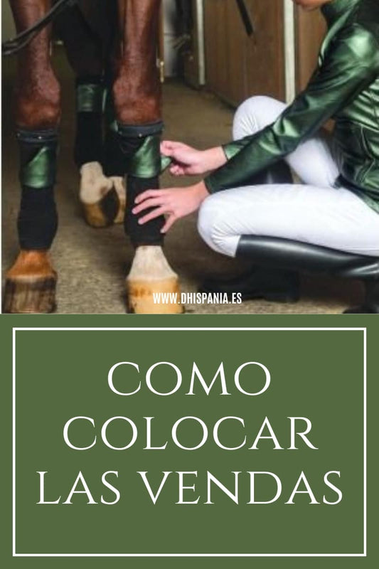 Vendas para caballos - Guía de uso y tipos D'Hispania