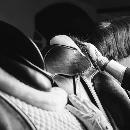 Mantillas para Caballos: Guía Completa de Protección y Comodidad Ecuestre - Tienda Hípica Online | D’Hispania ®