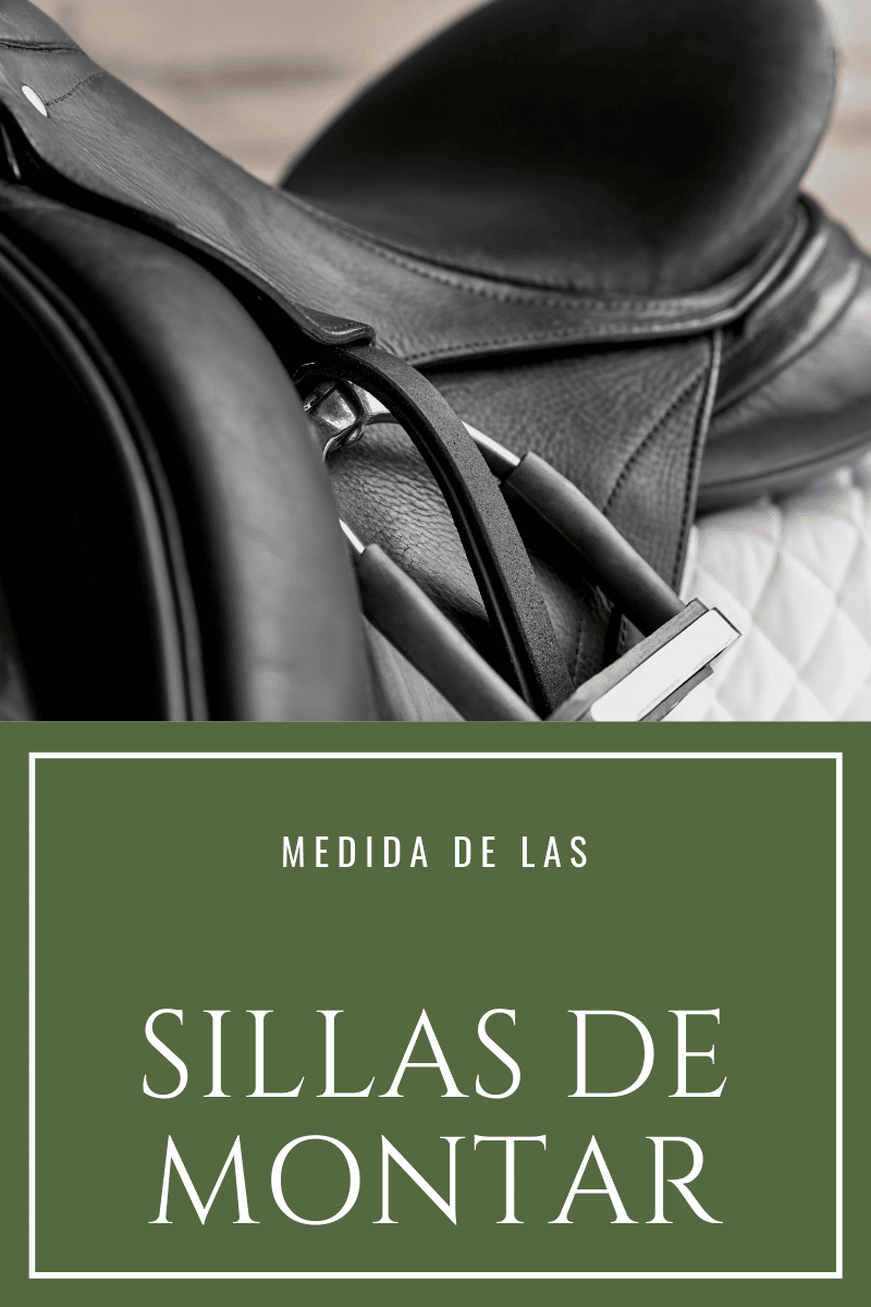 Guía de medidas de sillas de montar - Cómo medir correctamente D'Hispania