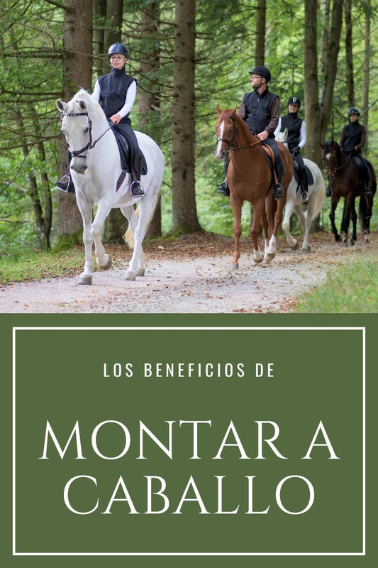 Beneficios de montar a caballo - Salud y bienestar ecuestre D'Hispania