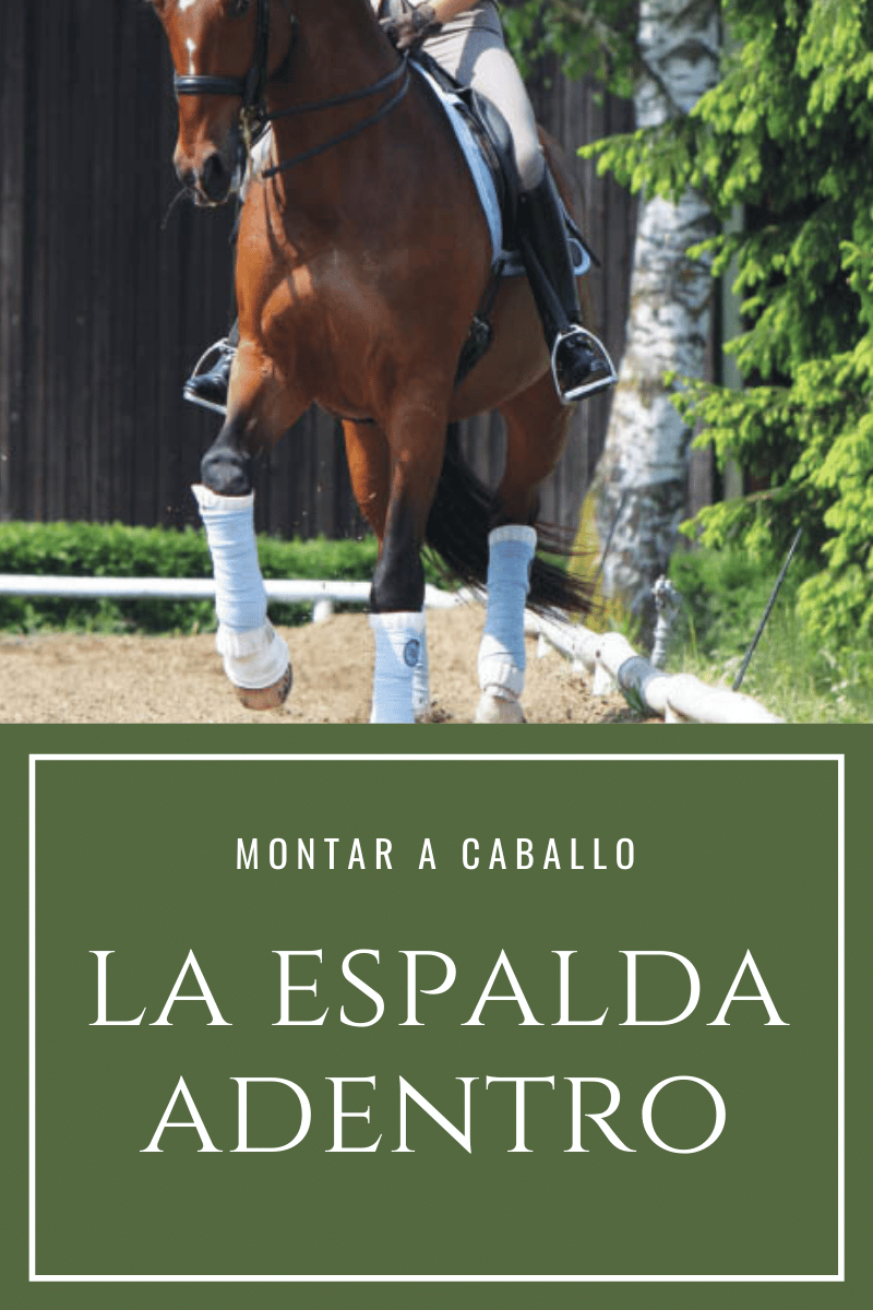 La espalda adentro en doma clásica - Ejercicio ecuestre D'Hispania