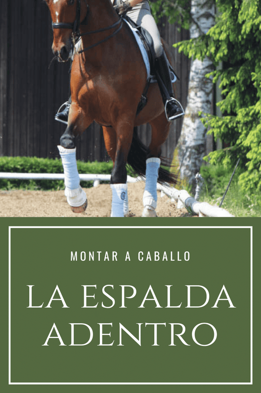 La espalda adentro en doma clásica - Ejercicio ecuestre D'Hispania