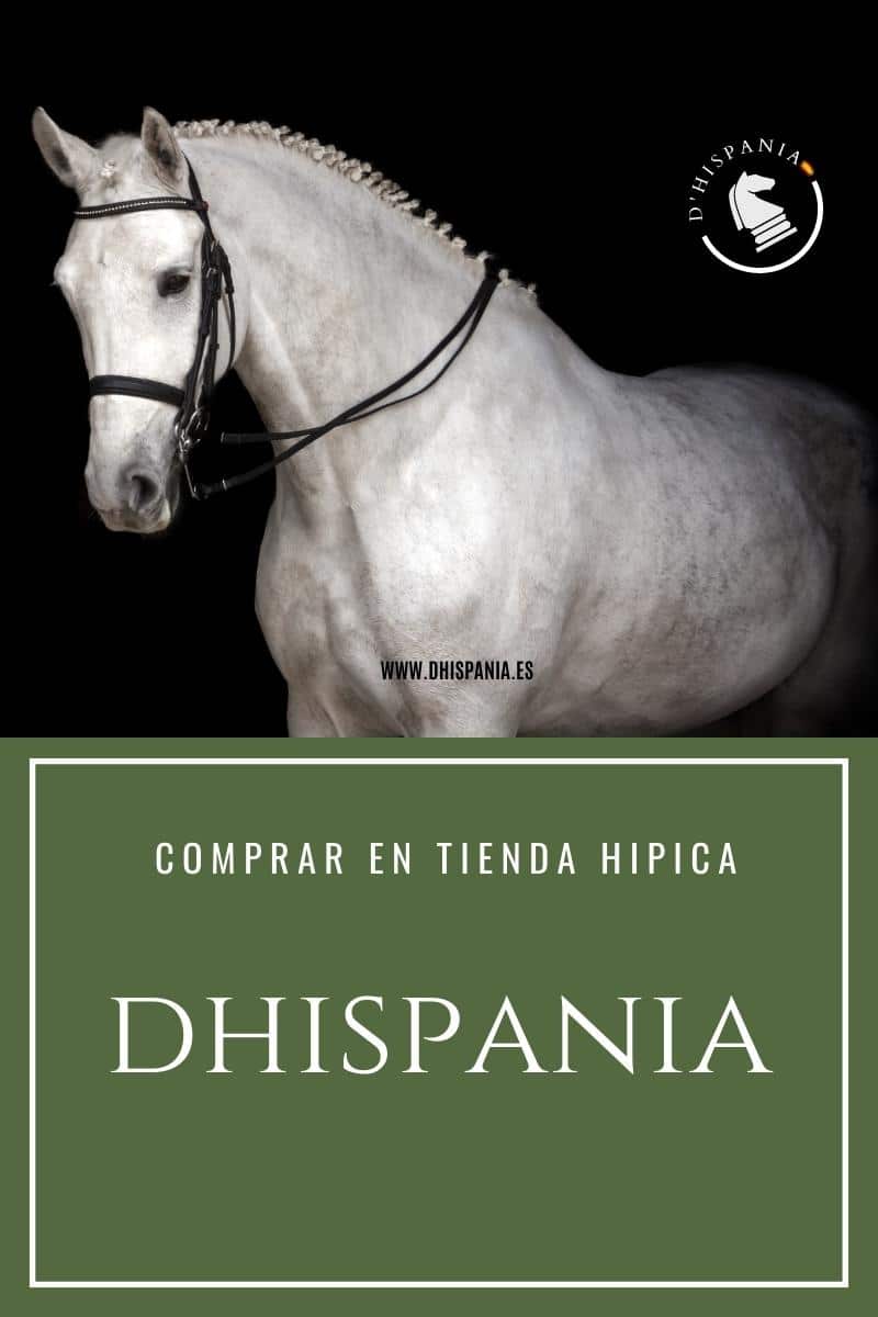Por qué elegir D'Hispania tienda hípica online - Equipamiento ecuestre premium