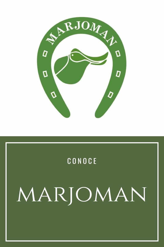 ¿Porque escoger Marjoman? - Tienda Hípica Online | D’Hispania ®