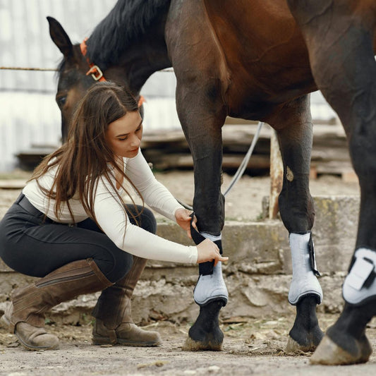 Protectores Ecuestres: Guía Completa para la Seguridad de tu Caballo - Tienda Hípica Online | D’Hispania ®