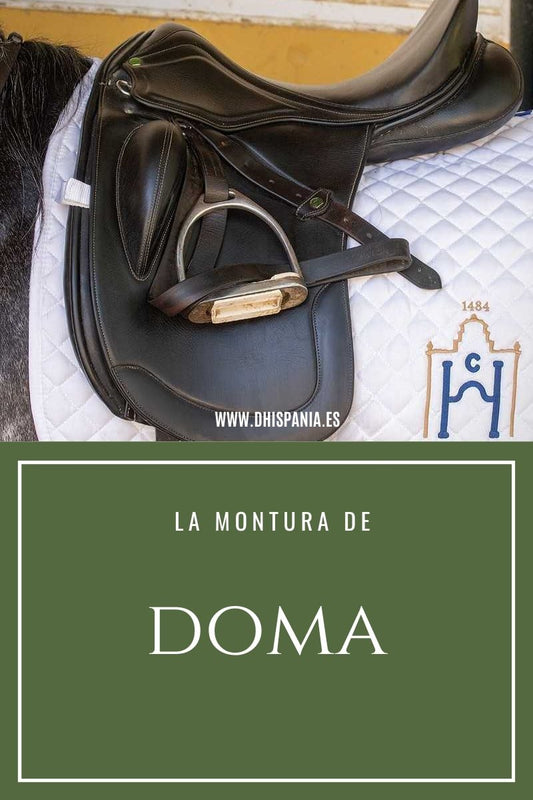 ¿Qué es una Montura de Doma? - Tienda Hípica Online | D’Hispania ®