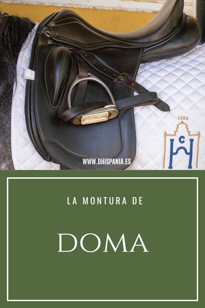Montura de doma clásica - Guía completa para jinetes D'Hispania