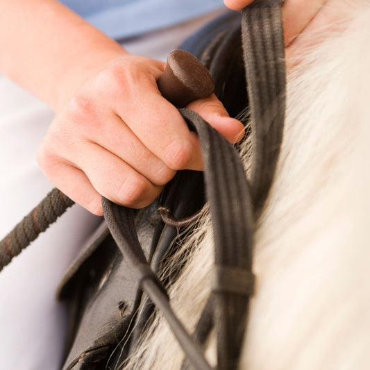 Riendas de Equitación: Control y Comunicación Perfecta con tu Caballo - Tienda Hípica Online | D’Hispania ®