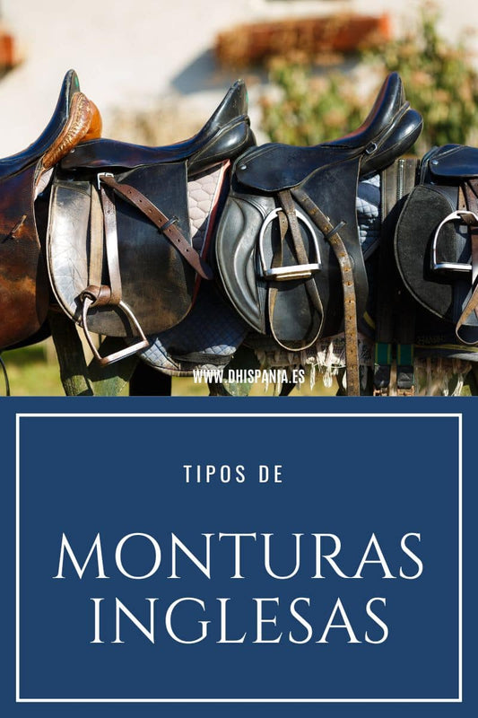 Sillas de Montar a Caballo - Tienda Hípica Online | D’Hispania ®