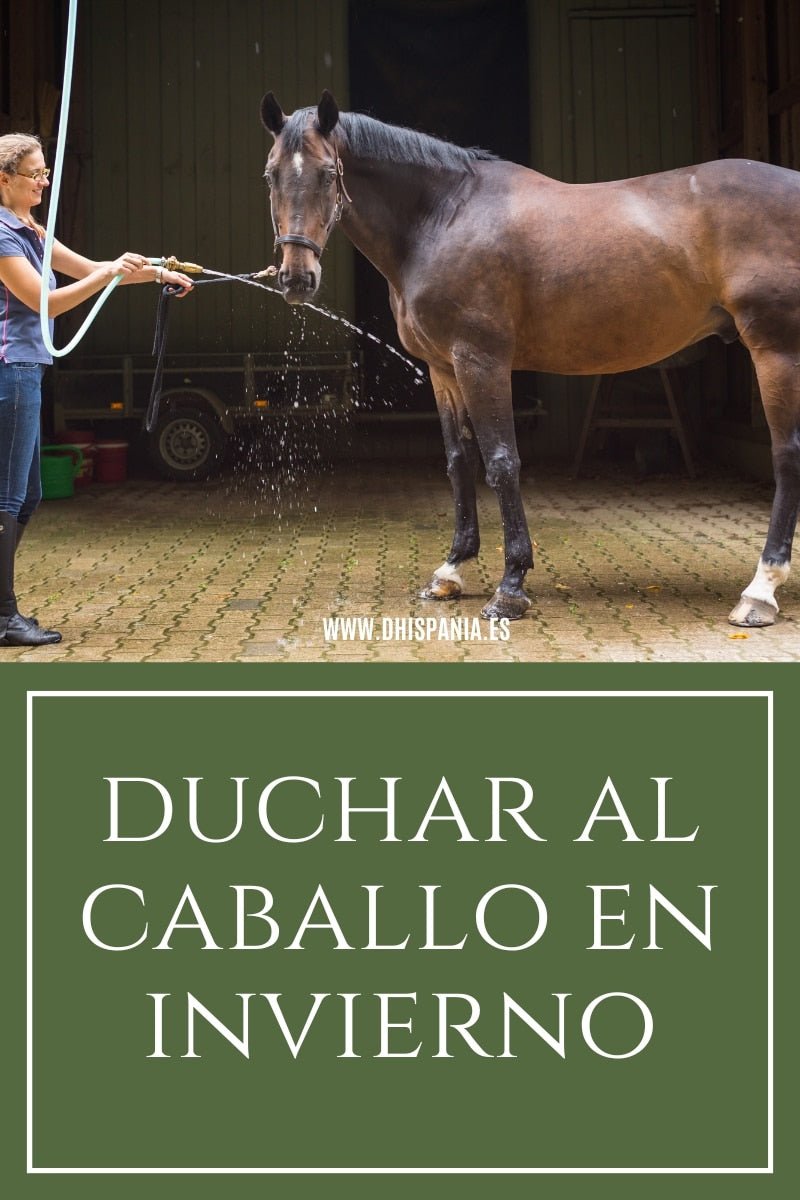 Cómo duchar al caballo en invierno de forma segura - Guía D'Hispania
