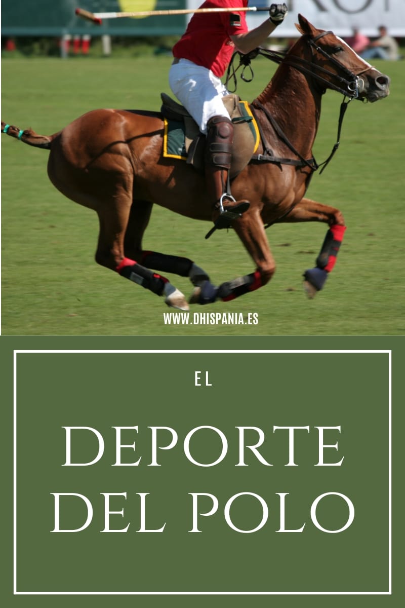 <strong>El Deporte del Polo</strong> - Tienda Hípica Online | D’Hispania ®