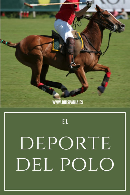<strong>El Deporte del Polo</strong> - Tienda Hípica Online | D’Hispania ®