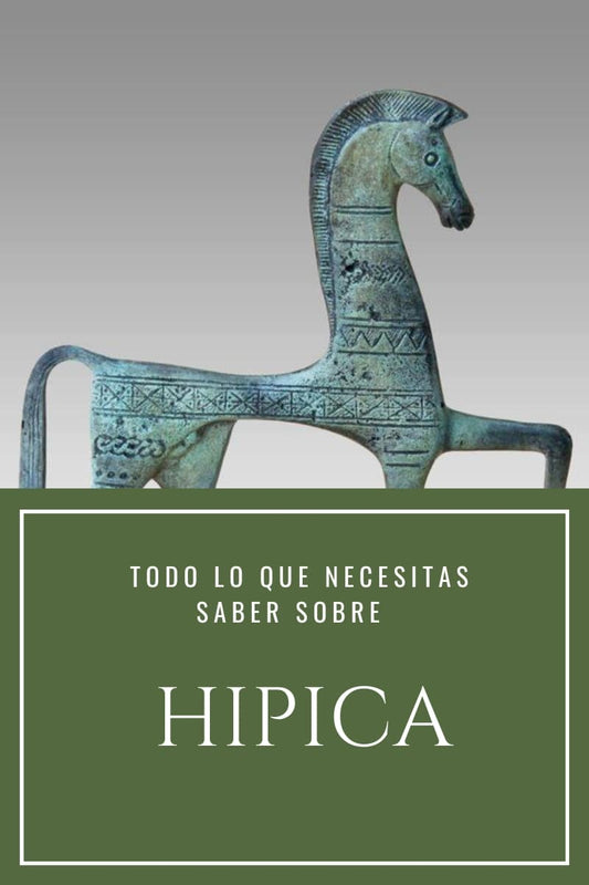 Guía completa sobre hípica - Disciplinas y equipamiento ecuestre D'Hispania