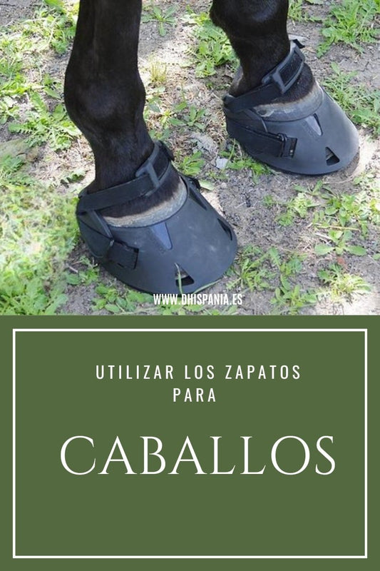 Zapatos para caballos Gatuso - Protección y cuidado del casco D'Hispania