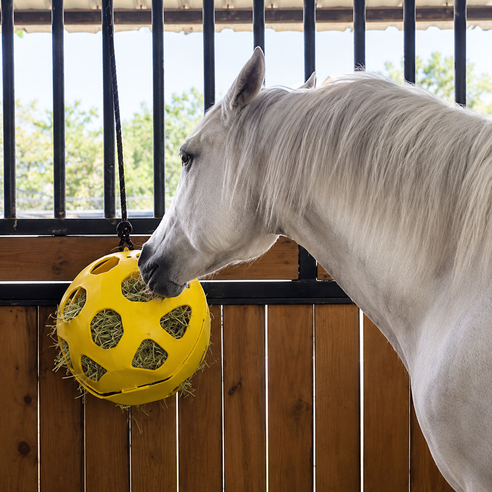 Balón comedero de heno para caballos Slow Feeder 40 cm · 248448