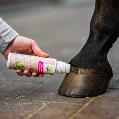 Aceite puro de laurel para cascos de caballos de la marca Bense & Eicke con aplicador, ideal para limpieza e higiene equina.