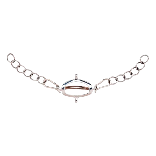BARBADA CADENILLA PESSOA INOX PAY90010200 - Tienda Hípica Online | D’Hispania ®
