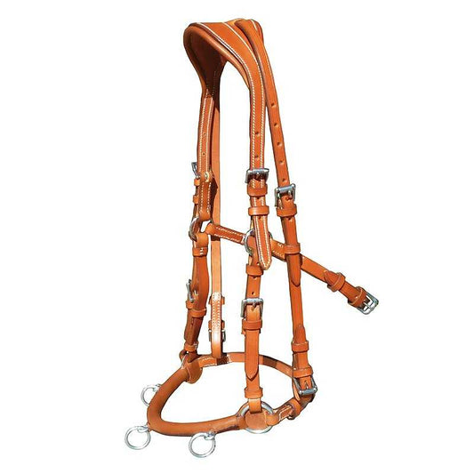 CABEZADA CAROLINA CON MONTANTE - Tienda Hípica Online | D’Hispania ®