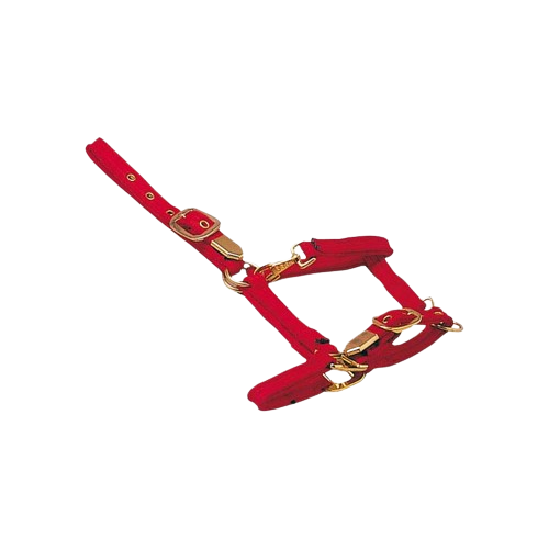 CABEZADA CUADRA ALGODÓN 4102W6E50B - Tienda Hípica Online | D’Hispania ®