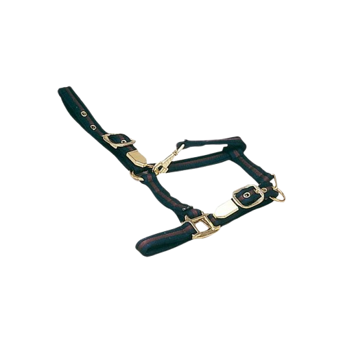 CABEZADA CUADRA ALGODÓN 4102W6E50B - Tienda Hípica Online | D’Hispania ®