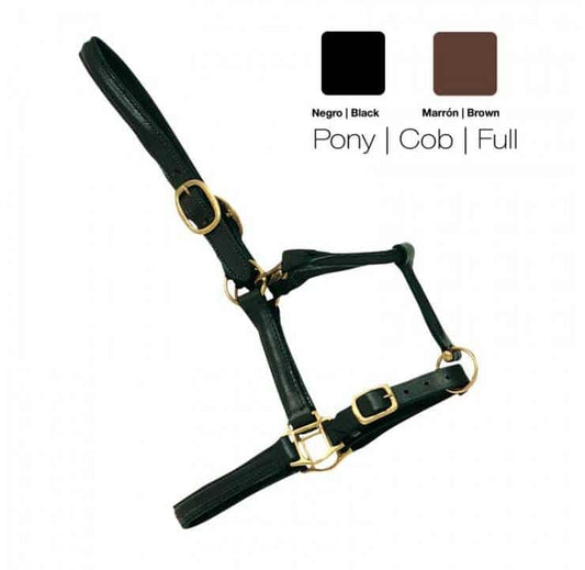 CABEZADA CUADRA CUERO DOBLE 204 - Tienda Hípica Online | D’Hispania ®