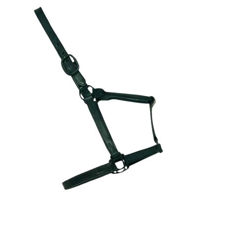 CABEZADA CUADRA CUERO DOBLE 2627 - Tienda Hípica Online | D’Hispania ®