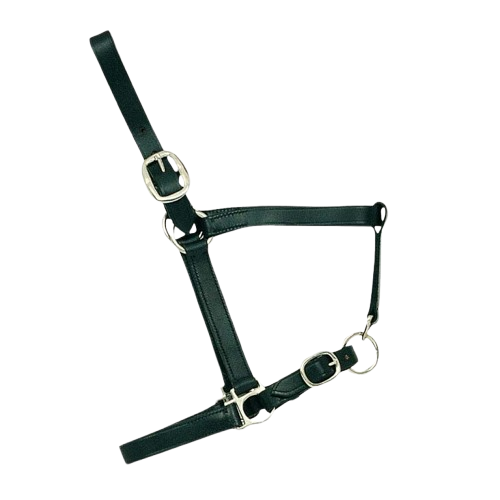 CABEZADA CUADRA CUERO POTRO 2602 - Tienda Hípica Online | D’Hispania ®