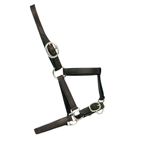 CABEZADA CUADRA CUERO RECIEN NACIDO 2602 - Tienda Hípica Online | D’Hispania ®