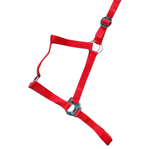CABEZADA CUADRA ECO. 1282 - Tienda Hípica Online | D’Hispania ®