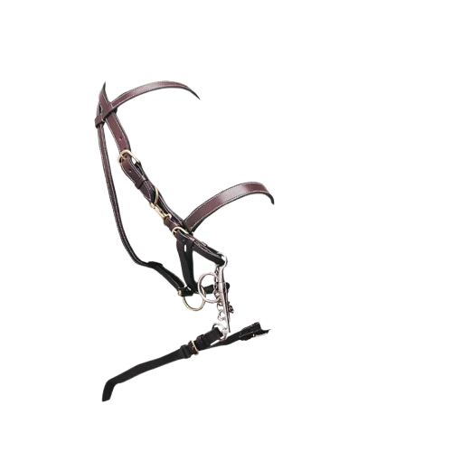 CABEZADA CUADRA MONTAR CUERO 1592 - Tienda Hípica Online | D’Hispania ®